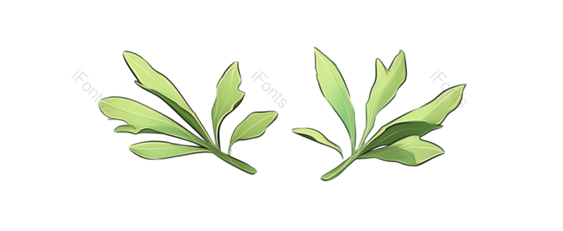 叶子图片,绿色元素,绿色植物PNG,植物免抠素材